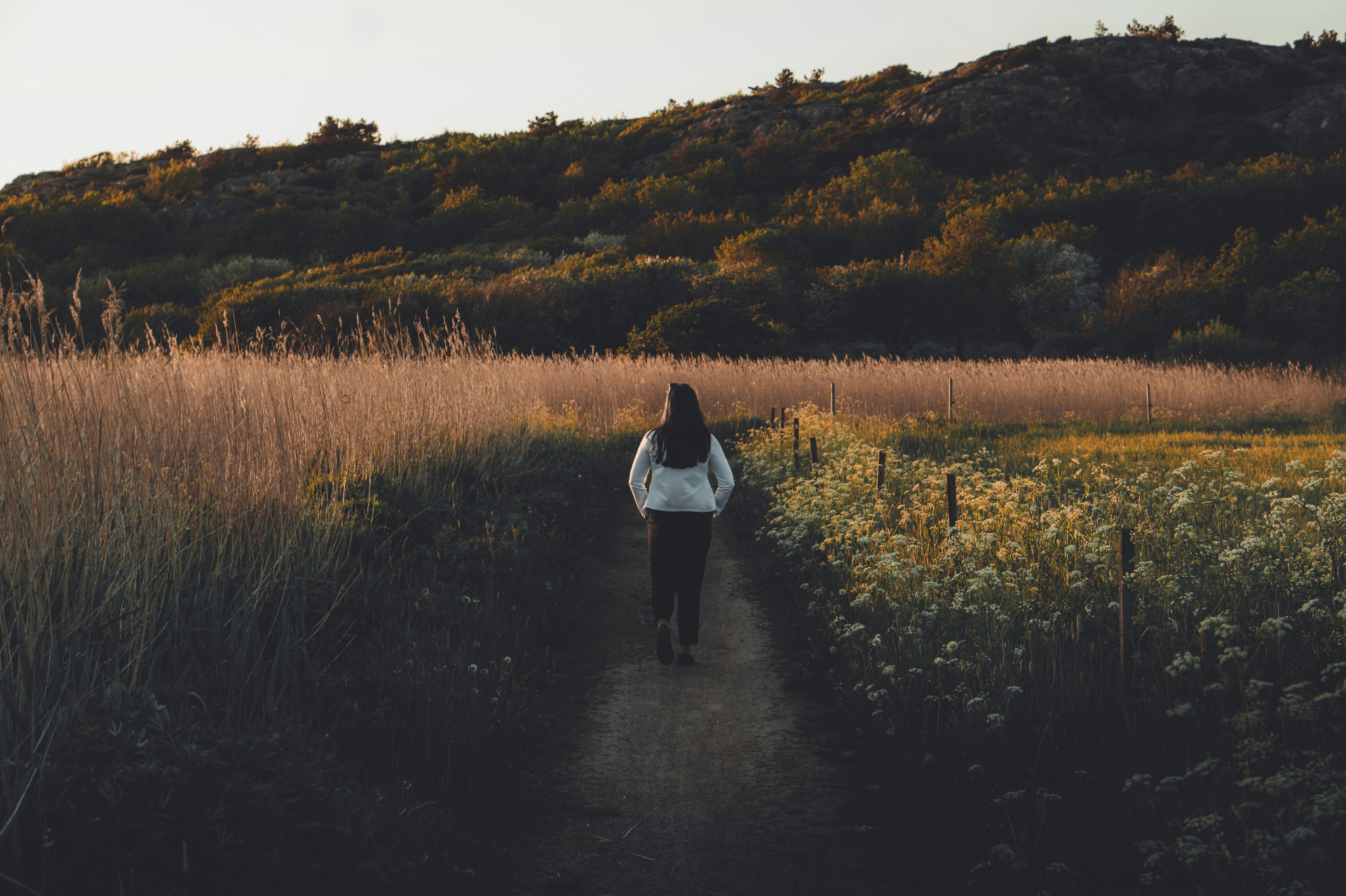 Woman walking a sunlit path through a meadow of tall grasses and wildflowers
